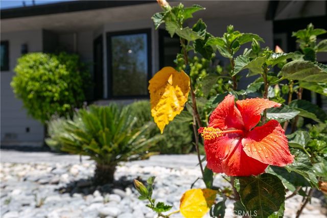 17030 Countess, Encino, CA 91436