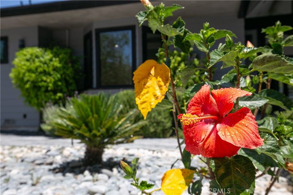 17030 Countess, Encino, CA 91436 — photo 4