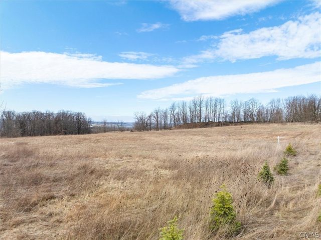 0 East Lake Road, Spafford, NY 13152
