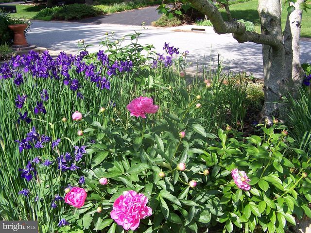 28 HARRIS CIR, Newark, DE 19711