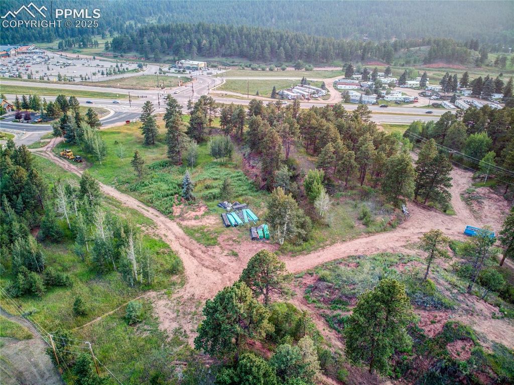 19569 E Highway 24, Woodland Park, CO 80863 — photo 3