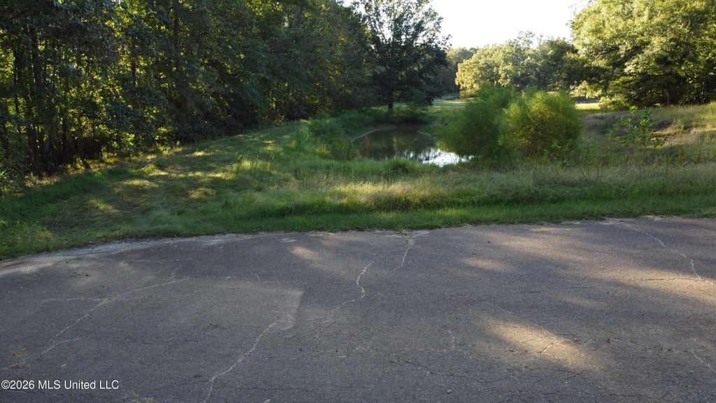 Scattered Oaks Cove, Byhalia, MS 38611 — photo 2
