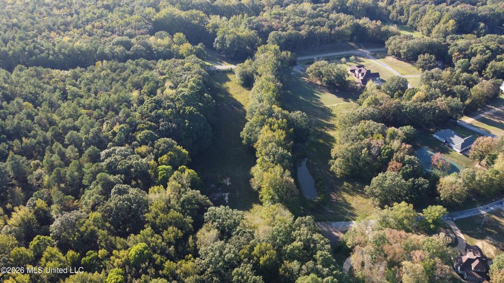Scattered Oaks Cove, Byhalia, MS 38611 — photo 3