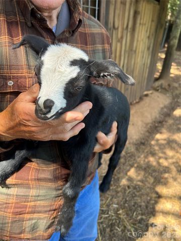 1301 Double Springs Church Road, Shelby, NC 28150