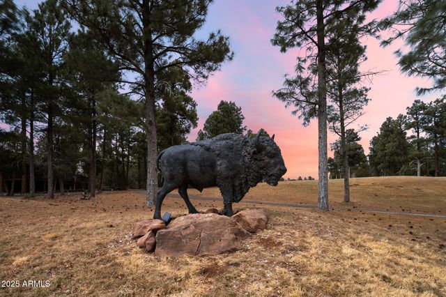 120 N RETREAT Drive, Show Low, AZ 85901