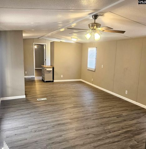 205 Ann Street, Pelion, SC 29123