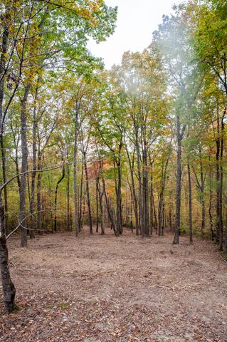 976 Chestnut Ridge Rd, Spring City, TN 37381