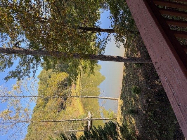 35 Wunder Bear Ridge Road, Morganton, GA 30560