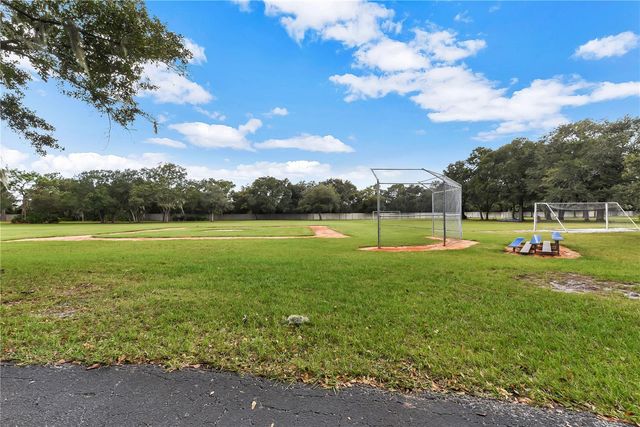 6650 THACKSTON DRIVE, Riverview, FL 33578