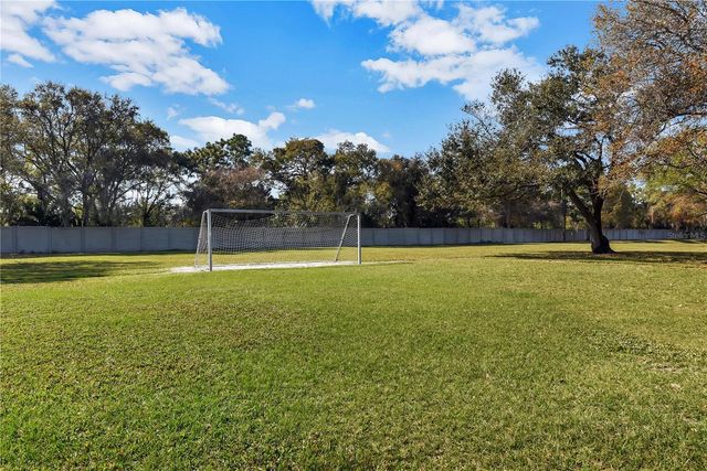 6650 THACKSTON DRIVE, Riverview, FL 33578