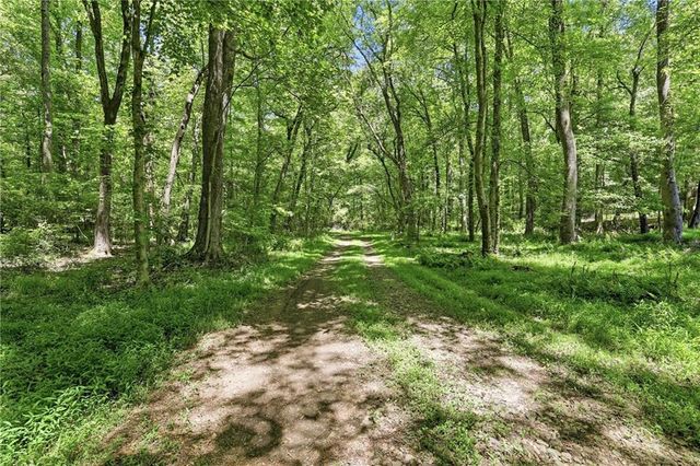 125 King Bird Drive, Cleveland, GA 30528
