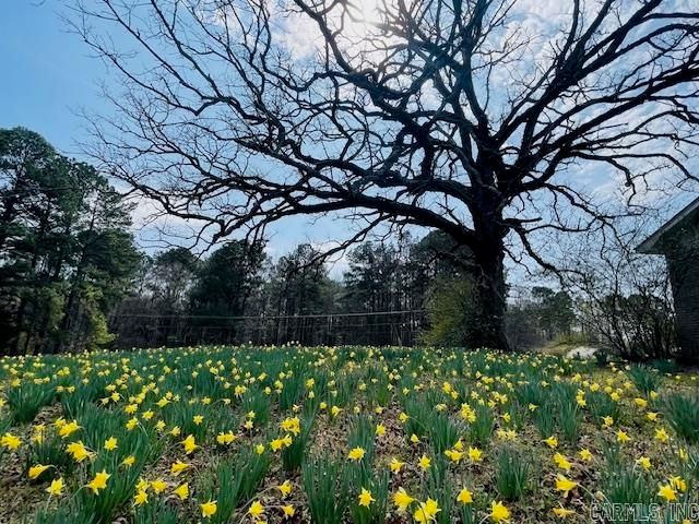 4708 Honeysuckle Road, Little Rock, AR 72206