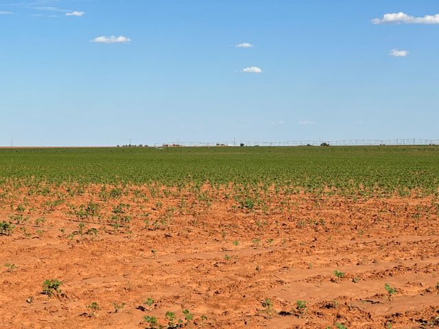 0 Dove, Ropesville, TX 79358