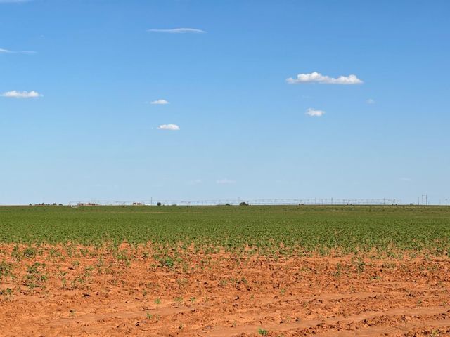 0 Dove, Ropesville, TX 79358