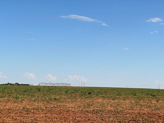 0 Dove, Ropesville, TX 79358