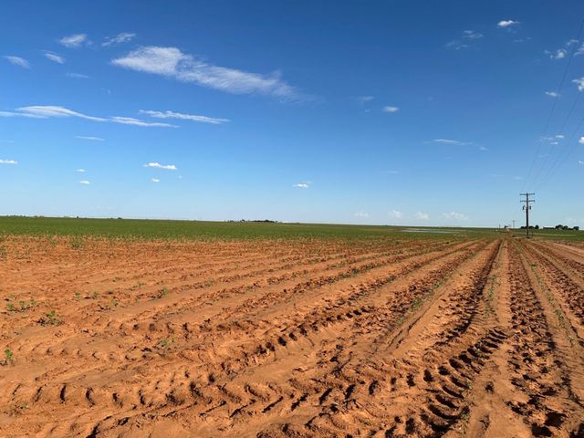 0 Dove, Ropesville, TX 79358