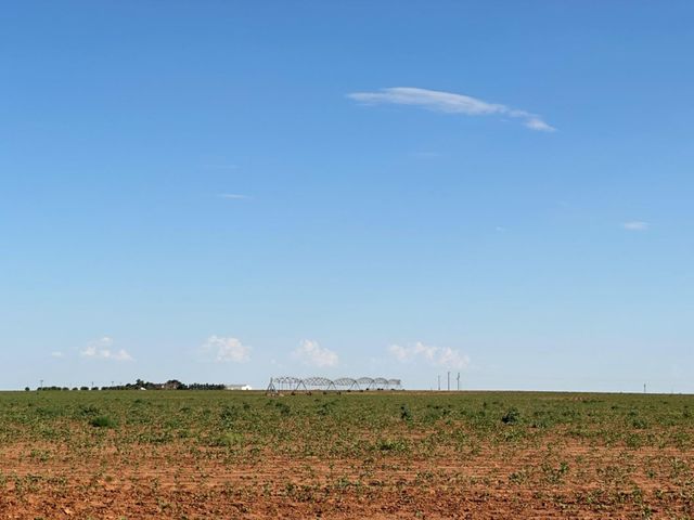 0 Dove, Ropesville, TX 79358