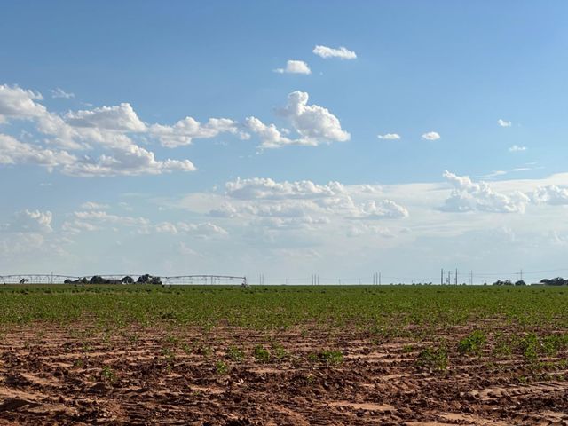 0 Dove, Ropesville, TX 79358