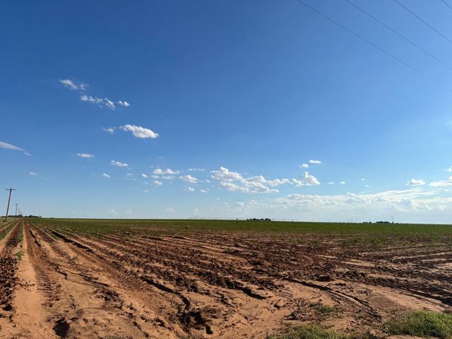 0 Dove, Ropesville, TX 79358