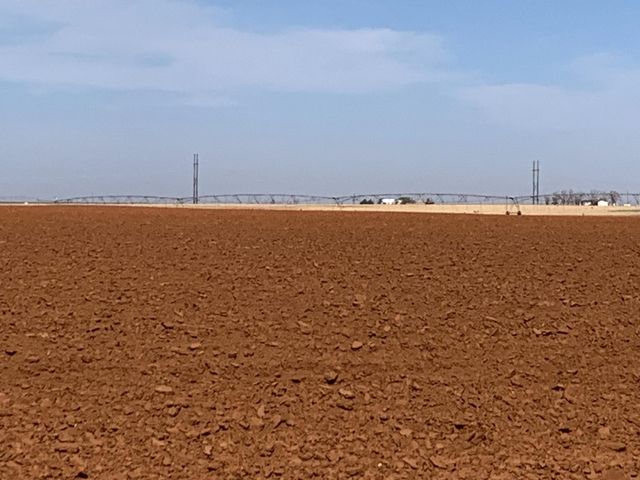 0 Dove, Ropesville, TX 79358