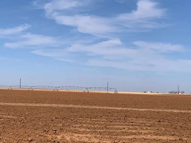 0 Dove, Ropesville, TX 79358