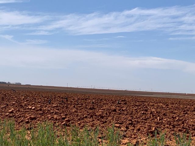 0 Dove, Ropesville, TX 79358