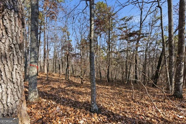 1166 Hunter Drive, Ranger, GA 30734