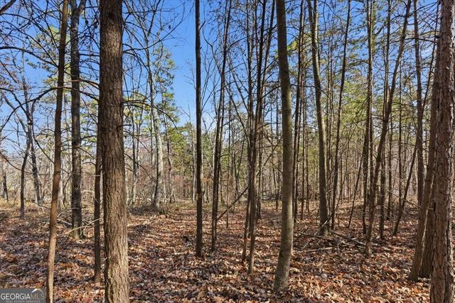 1166 Hunter Drive, Ranger, GA 30734