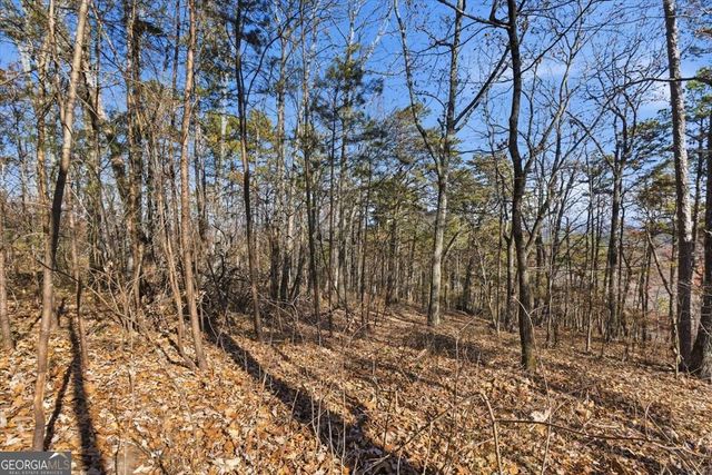 1166 Hunter Drive, Ranger, GA 30734