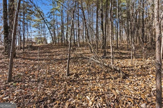 1166 Hunter Drive, Ranger, GA 30734