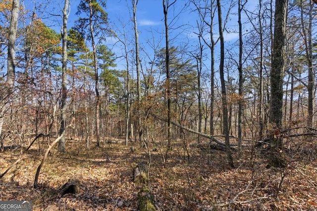 1166 Hunter Drive, Ranger, GA 30734