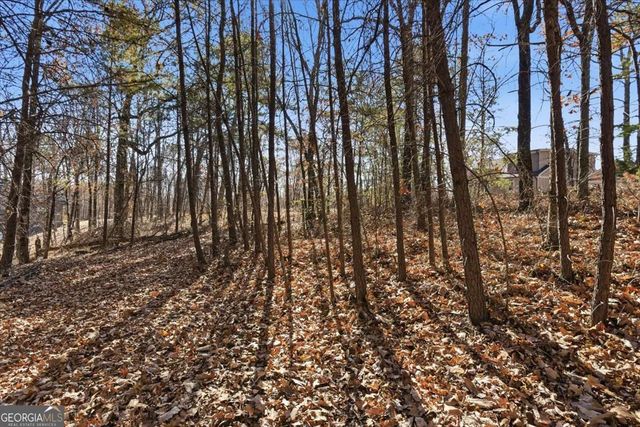 1166 Hunter Drive, Ranger, GA 30734