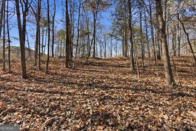 1166 Hunter Drive, Ranger, GA 30734