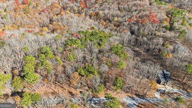 1166 Hunter Drive, Ranger, GA 30734