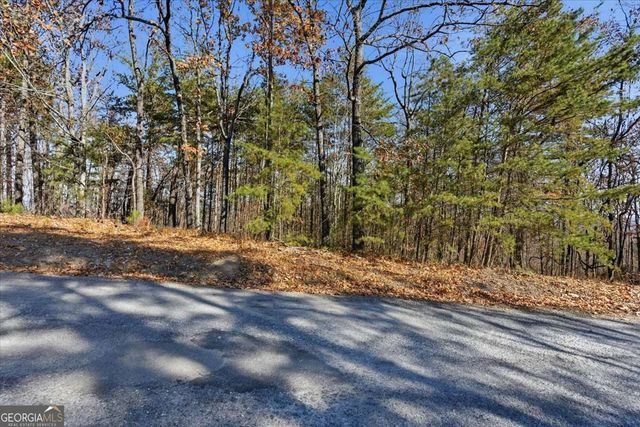 1166 Hunter Drive, Ranger, GA 30734