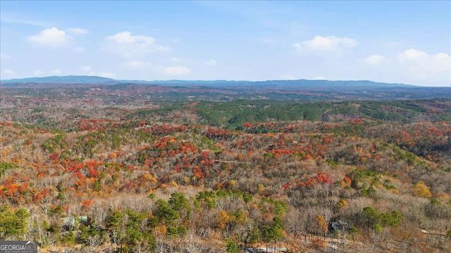 1166 Hunter Drive, Ranger, GA 30734