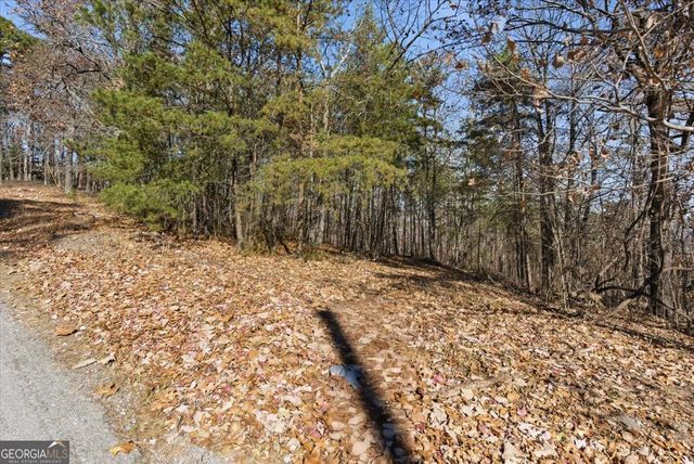 1166 Hunter Drive, Ranger, GA 30734