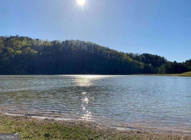 1166 Hunter Drive, Ranger, GA 30734