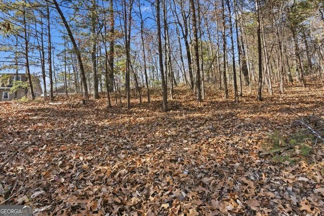 1166 Hunter Drive, Ranger, GA 30734