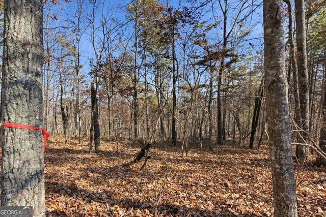 1166 Hunter Drive, Ranger, GA 30734