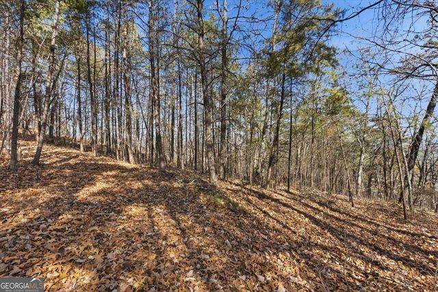 1166 Hunter Drive, Ranger, GA 30734