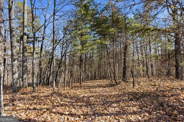 1166 Hunter Drive, Ranger, GA 30734