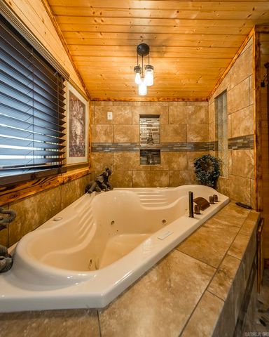 4 Long Hill Rd., Higden, AR 72067