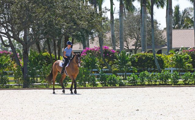 15293 Sunnyland Lane, Wellington, FL 33414