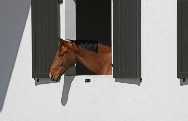 15293 Sunnyland Lane, Wellington, FL 33414