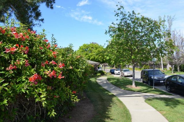 21072 Red Fir Court, Cupertino, CA 95014