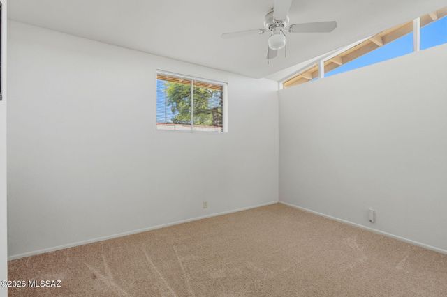 8041 E Julia Street, Tucson, AZ 85710