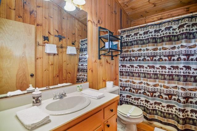 20 River Rock Road, Ellijay, GA 30540