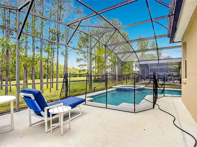 672 ORISTA DR, Davenport, FL 33897