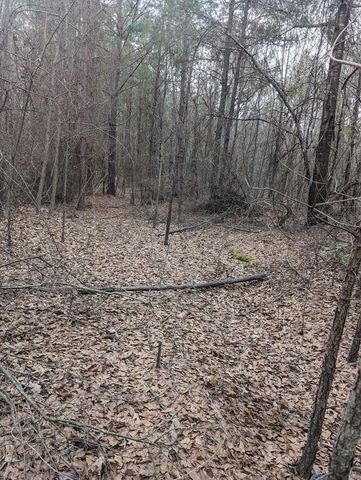 0 County Road 3460, Hawkins, TX 75765